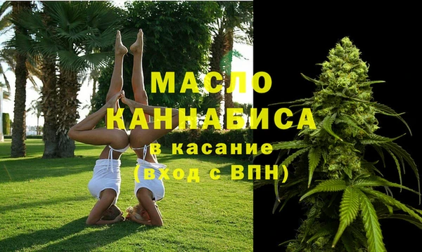 дмт Богданович